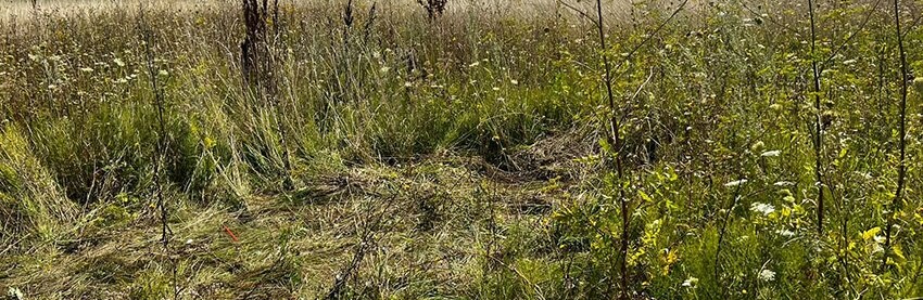 Суд виніс вирок трьом хмельничанам, які побили знайомого і залишили голим на кладовищі