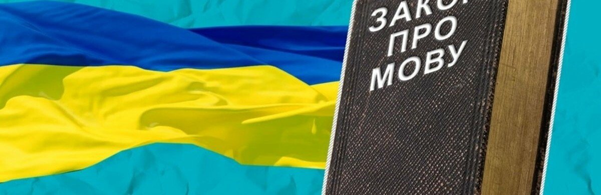 Омбудсмен розповів, як в Україні штрафуватимуть за порушення 