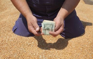 На Хмельниччині викрили схему заволодіння зерном на майже 23 млн грн: двоє підозрюваних