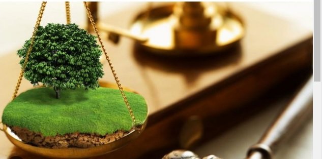 У державну власність повернули земель ландшафтного заказника на Хмельниччині