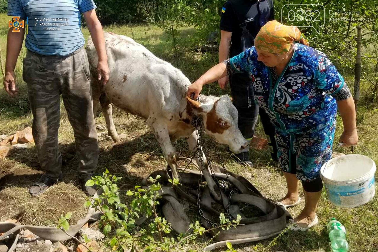 На Хмельниччині рятувальники витягли корову з колодязя