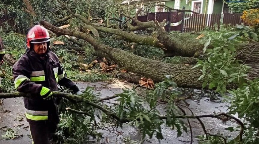 Хмельниччиною пронісся буревій: повалено дерева, зірвано дахи та підтоплено дороги