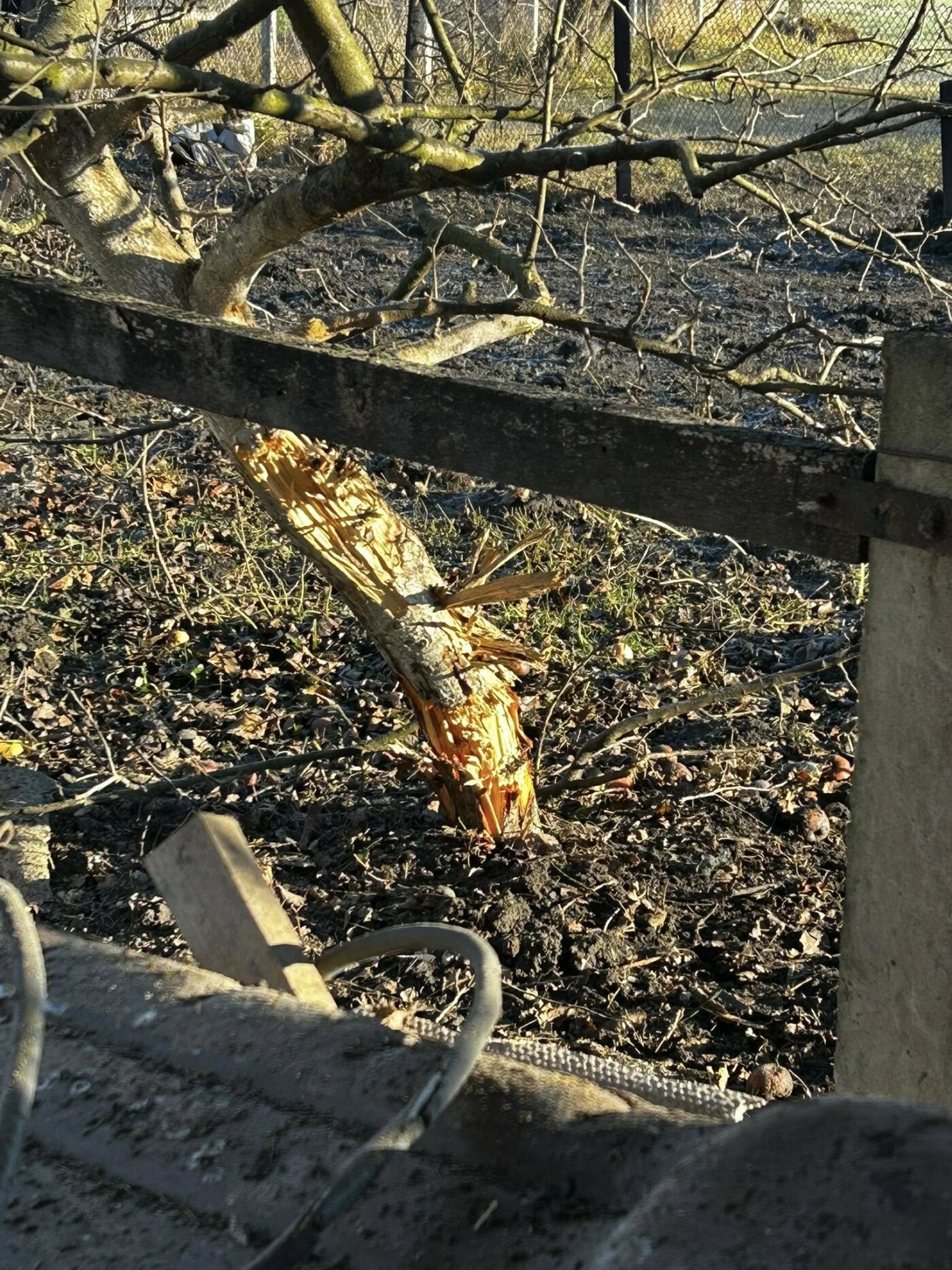 Пошкодження у Пліщині