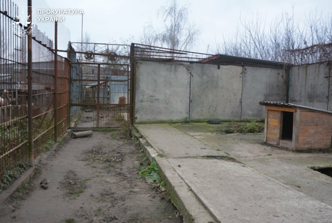 Вольєри для левів