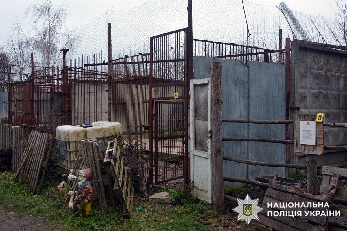 Вольєри для левів