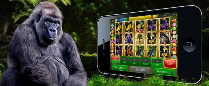 Огляд Gorilla Casino: новий формат азартних розваг в Україні Огляд Gorilla Casino: новий формат азартних розваг в Україні