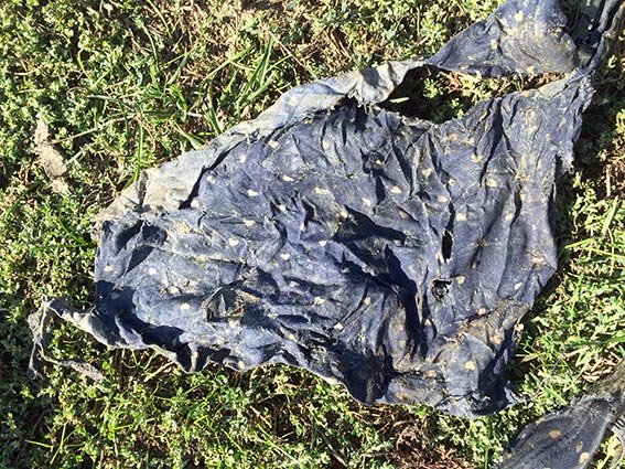 У Красилівському районі знайшли фрагменти тіла невідомої дівчинки (фото) - фото 1