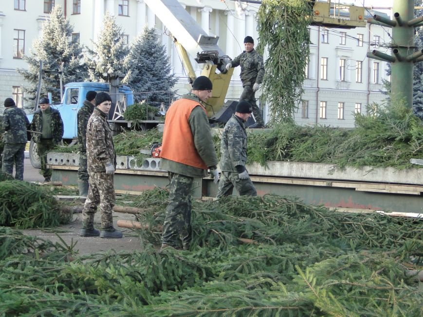 У Хмельницькому запахло ялинкою: на майдані Незалежності активно встановлюють новорічну красуню (Фото) (фото) - фото 1